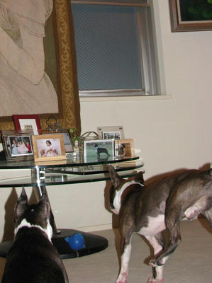 IMG_0069_edited.JPG