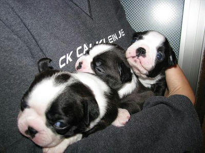 3baby.JPG
