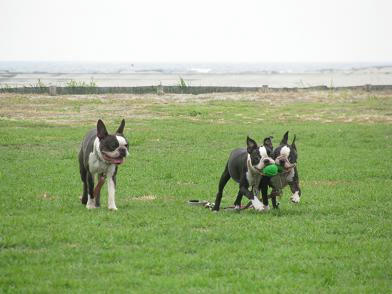 3boston3.JPG