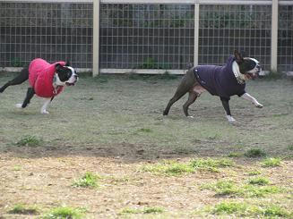 run.JPG