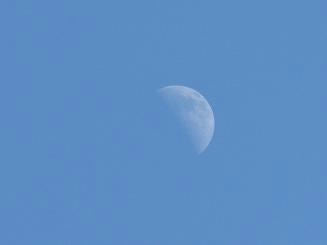 IMG_5333.JPG