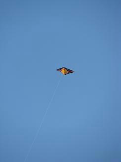 IMG_5334.JPG