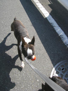IMG_6279.JPG