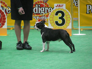 cc11494d.jpg