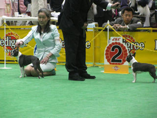 835e5b31.jpg