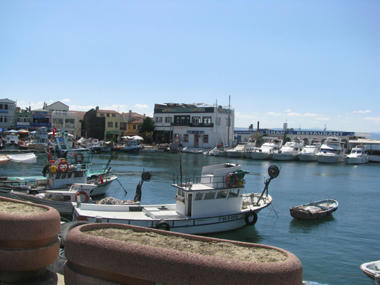 IMG_8308.JPG