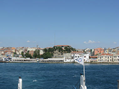 IMG_8319.JPG
