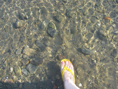 IMG_8351.JPG
