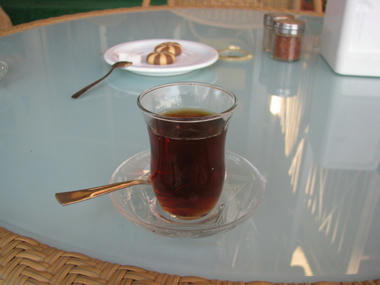 IMG_8356.JPG