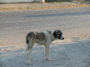 IMG_8358.JPG