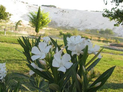 9affa605.JPG