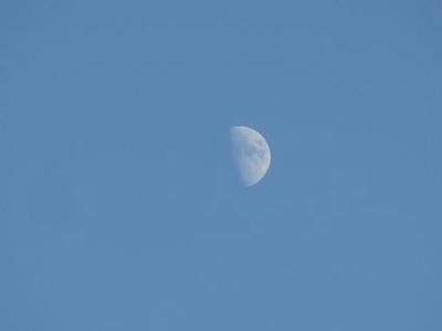 IMG_8535.JPG