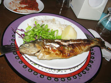 IMG_8587.JPG
