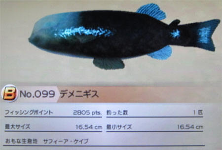 森 デメニギス どうぶつ の