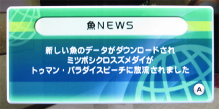 ミツボシクロスズメダイがネット放流されました