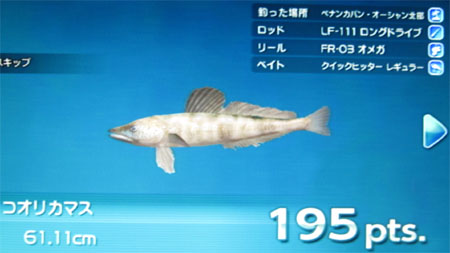 今日のファミリーフィッシング78 ニシン ホッケ サンマ