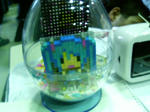200905171503000.jpg
