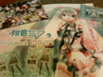 20090517210441.jpg