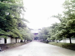 09-05-21_003.jpg