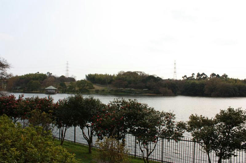 IMG_7075.jpg