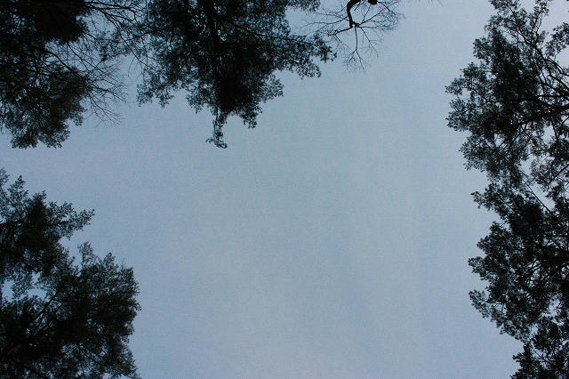 s-IMG_7750.jpg