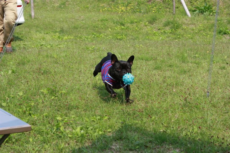 IMG_2127.jpg