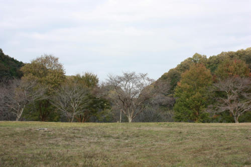IMG_8219.jpg