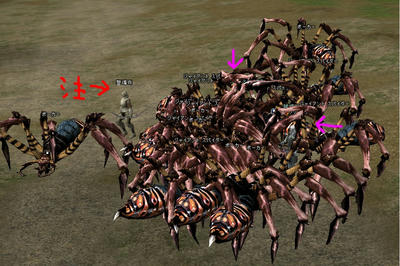 TI3.jpg