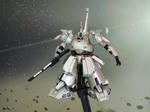 theo1.jpg