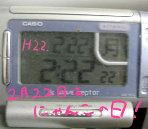 22222.jpg