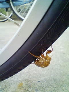 20100728181638.jpg