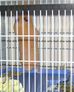 424fd5e1.jpg