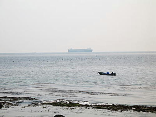 umi006.jpg