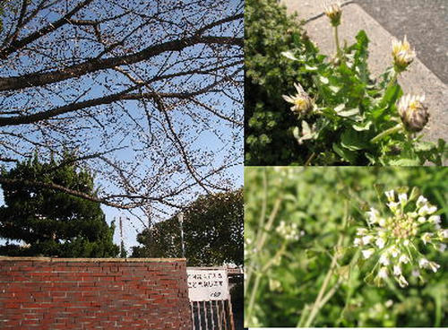 sanpo002.jpg