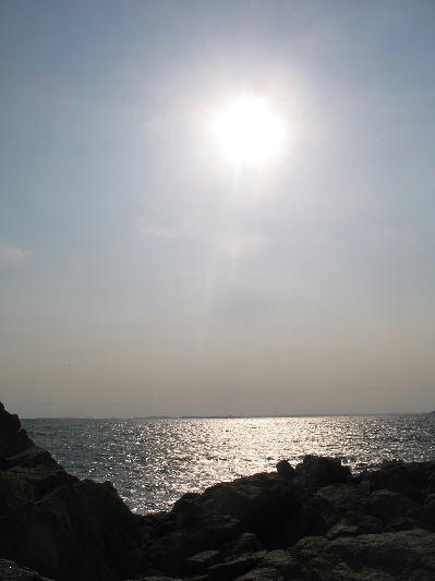umi004.jpg