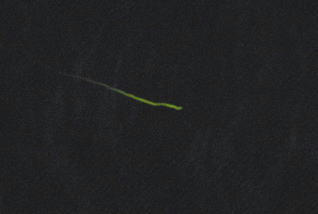 5b706923.jpg