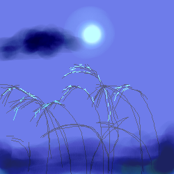 IMG_000017.png