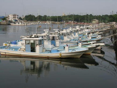 7342936a.jpg