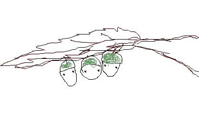 fimg_1253459473.png