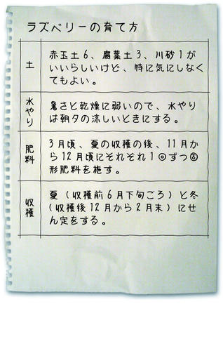 ラズベリー育て方
