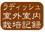 ラディッシュ外栽培