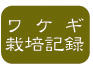 ワケギ栽培