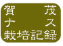 加茂ナス栽培