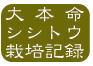 シシトウ栽培