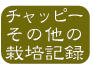 その他栽培