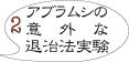 ラディッシュ栽培2