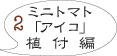 ミニトマト栽培2