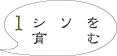 シソ栽培1
