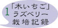ラズベリー栽培記録1