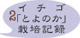 イチゴ栽培